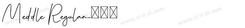 Meddle Regular字体转换